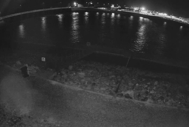 Hvide Sande Fishing Spot