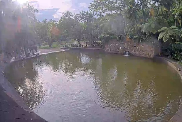 Bali: Ubud