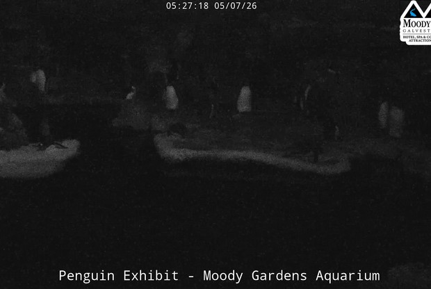 Moody Gardens Aquarium Pyramid
