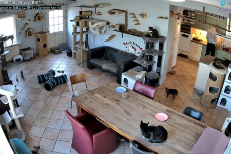 Texel Animal Shelter