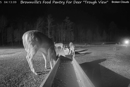 Brownville Deer Pantry